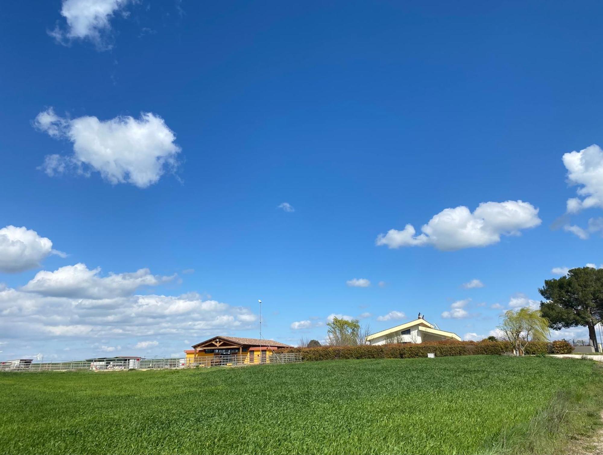 Vento Barocco - Equitazione E Turismo Villa Matera Exterior photo
